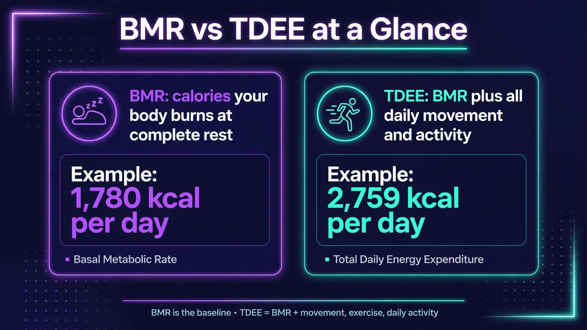 BMR vs TDEE comparison: BMR is the calories your body burns at complete rest, example 1,780 kcal per day; TDEE is BMR plus all daily movement and activity, example 2,759 kcal per day