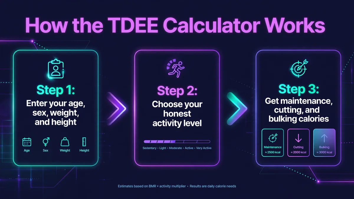 How the TDEE calculator works: enter your age, sex, weight, and height, choose your honest activity level, and get your maintenance, cutting, and bulking calories