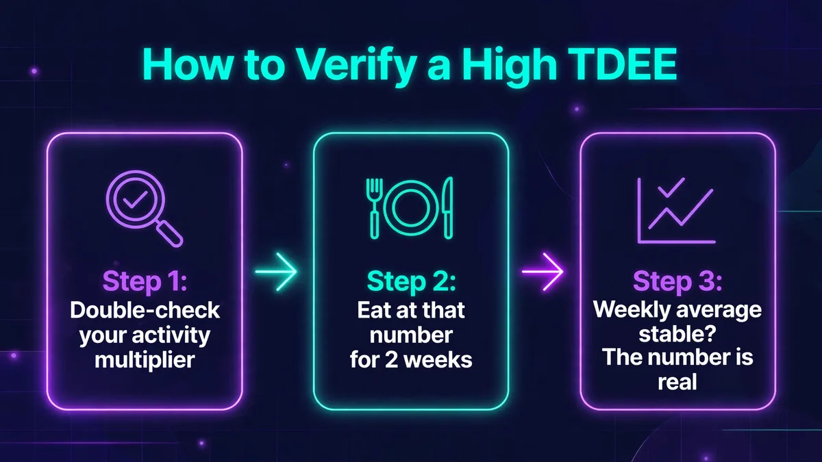 How to verify a high TDEE: double-check your activity multiplier, eat at that number for 2 weeks, and if your weekly average weight is stable, the number is real